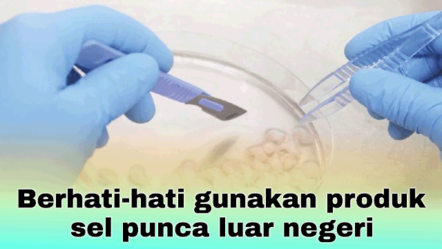 Berhati-hati gunakan produk sel punca luar negeri